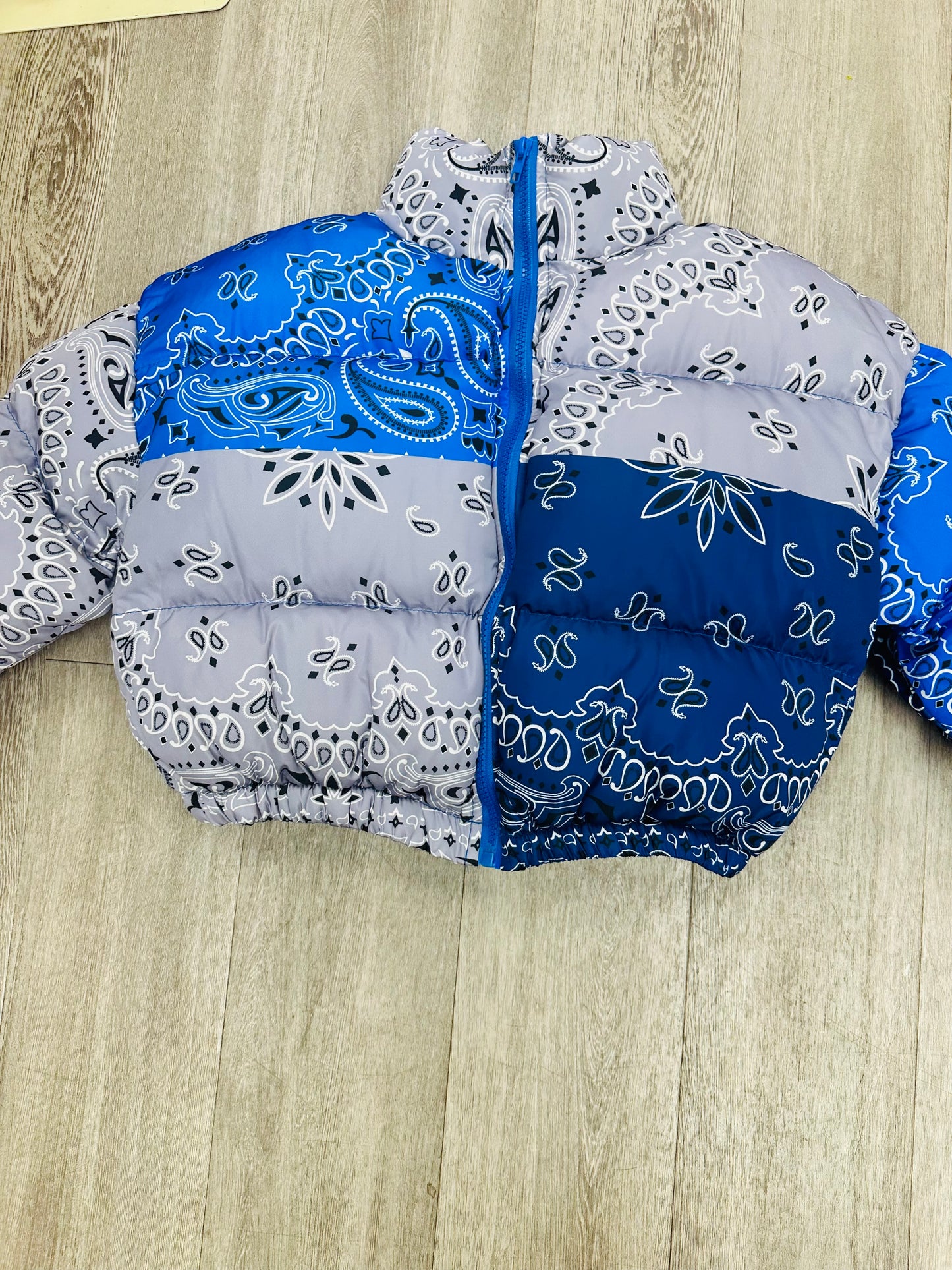 Puffer Jacket (Purple & Blue)